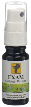 ODINELIXIER Exam Blütenessenz Fertigmischung Spray, 10 ml