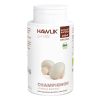 HAWLIK Champignon Extrait capsules, 240 pièces