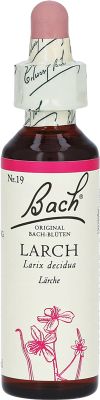 FLEURS DE BACH original larch no19 20 ml