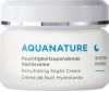 Börlind AquaNature Feuchtigkeitsspendende Nachtcreme