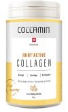 COLLAMIN Joint'Active Collagen 28 port 480 g