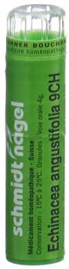 SN echinacea angustifolia gran 9 CH 4 g