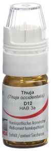 OMIDA Thuja Glob D 12 m Dosierhilfe 4 g