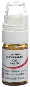 OMIDA Lachesis Glob C 30 m Dosierhilfe 4 g