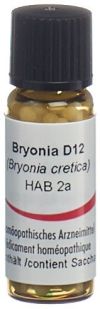 OMIDA bryonia glob 12 D 2 g