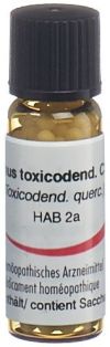 OMIDA Rhus toxicodendron Glob C 30 2 g