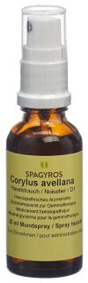 SPAGYROS GEMMO Corylus avellana macérat de glycérine D1, 30 ml
