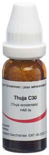 OMIDA Thuja Glob C 30 14 g