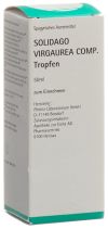 PHÖNIX Solidago virgaurea comp spag Fl 50 ml