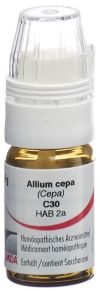 OMIDA Allium cepa Glob C 30 m Dosierhilfe 4 g