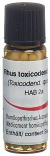 OMIDA Rhus toxicodendron Glob D 12 2 g
