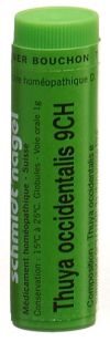 SN thuya occidentalis glob 9 CH 1 g