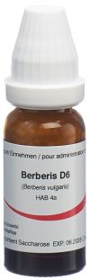 OMIDA berberis glob 6 D 14 g