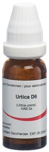 OMIDA urtica urens glob 6 D 14 g
