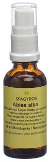 SPAGYROS GEMMO Abies alba Glycerinmazerat D1, 30 ml