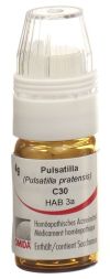 OMIDA Pulsatilla Globuli C30 mit Dosierhilfe, 4 g