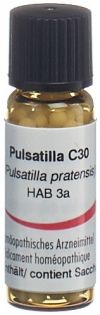 OMIDA pulsatilla glob 30 C 2 g