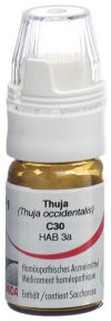 OMIDA Thuja Glob C 30 m Dosierhilfe 4 g