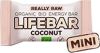 Lifefood Lifebar Coconut Mini barre énergétique, 25 g