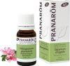 PRANAROM Huile essentielle de géranium rosat bio, 10 ml