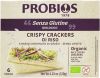 PROBIOS Crispy Reis Crackers 120 g