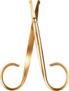 Rubis Nasenhaarschere gold