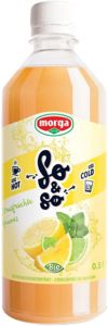 Morga So&So Zitrusfrüchte Konzentrat Bio
