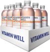 Vitamin Well Antioxidant Pfirsich, 12 x 500 ml