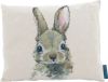 Aromalife Arvenkissen Waldtiere HASE