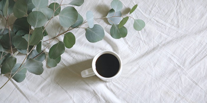 La caféine : comment agit-elle sur nous ?